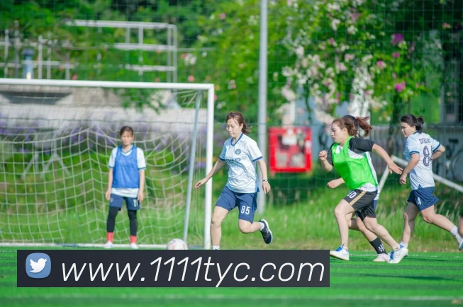 太阳城官网发展历程